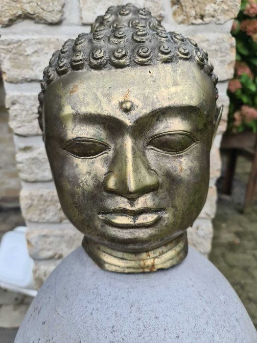 Buddha hoved - 30 cm - Buddha - Sydøstasien  (Ingen mindstepris)