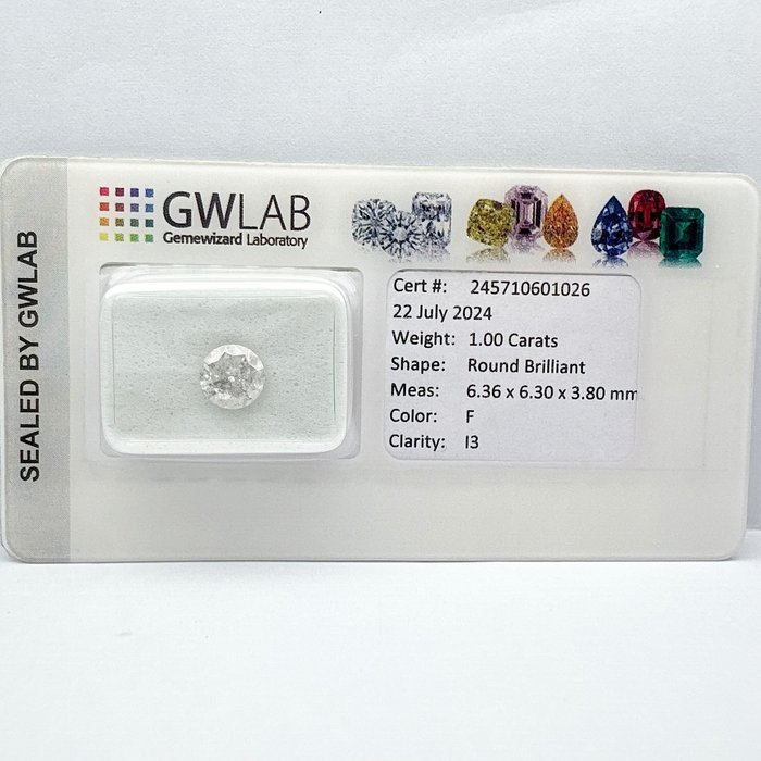 Ingen mindstepris - 1 pcs Diamant  (Natur)  - 100 ct - Rund - F - I3 - Gemewizard Gemological Laboratory (GWLab)