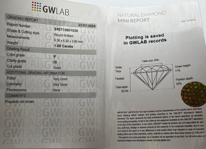 Ingen mindstepris - 1 pcs Diamant  (Natur)  - 100 ct - Rund - F - I3 - Gemewizard Gemological Laboratory (GWLab)