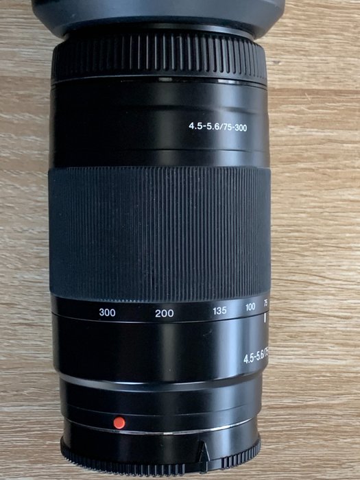 Sony SAL 75-300/45-56 Kameralinse