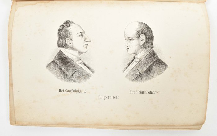 [Cranologie. Frenologie] - Kijkjes door venster, deur en dak in het binnenste van den mensch - 1872