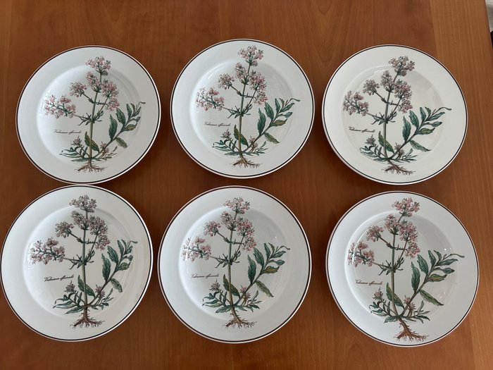 Villeroy  Boch - Bordservice (6) - Porcelæn