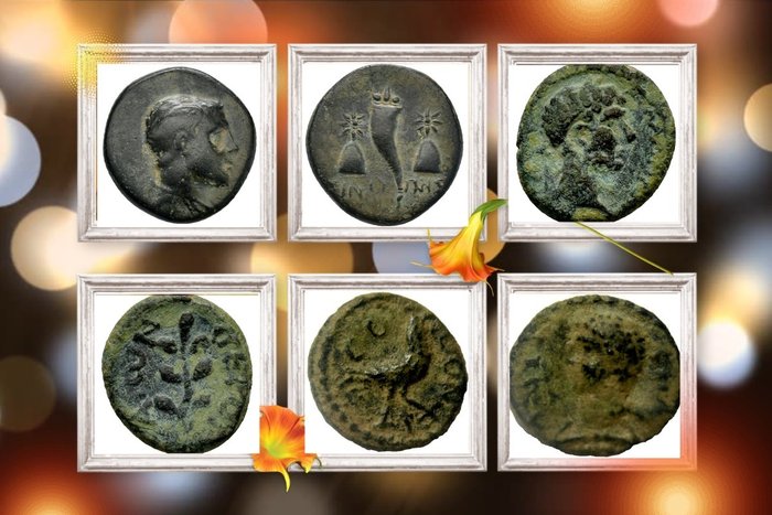 Antikken. Lot of 3 Coins 2nd Century BC-2nd Century AD/ Including Pontos, Pisidia and  Seleucis and Pieria  (Ingen mindstepris)