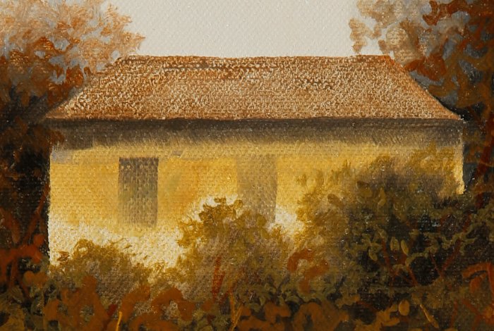 Guido Borelli - papalanda