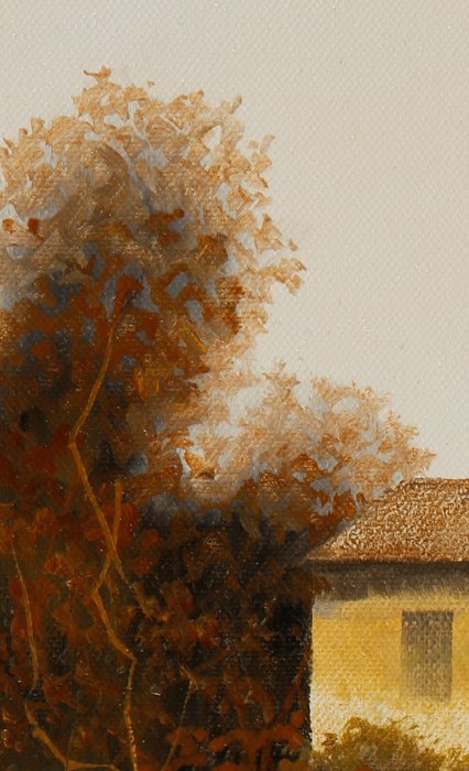 Guido Borelli - papalanda