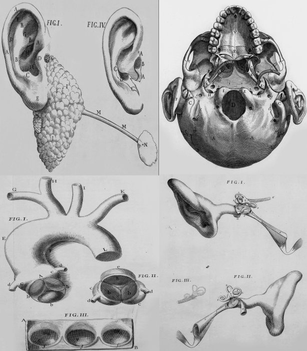 Antonio Maria Valsalva / Giovanni Battista Morgagni - Tractatus De Aure Humana or Treatise on the Human Ear - 1741