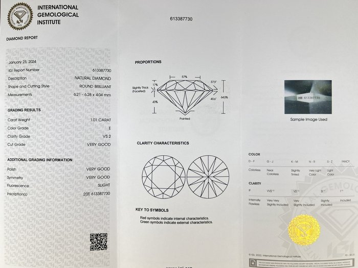 1 pcs Diamant  (Natur)  - 1.01 ct - Rund - E - VS2 - International Gemological Institute (IGI)