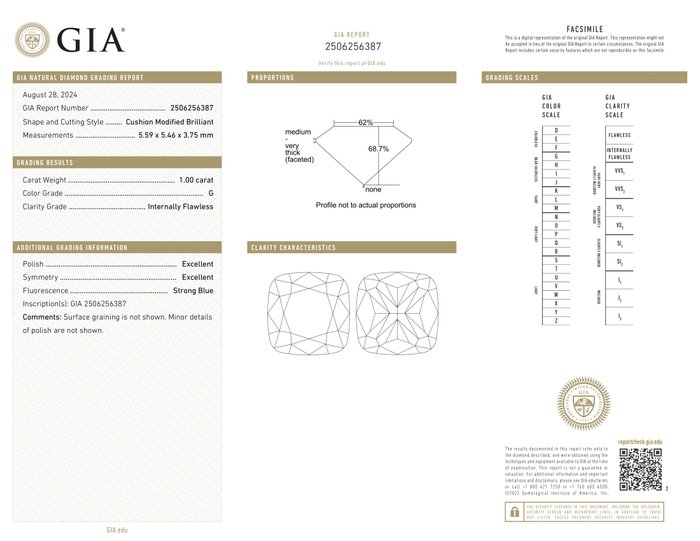 Ingen mindstepris - 1 pcs Diamant  (Natur)  - 1.00 ct - Pude - G - IF - Gemological Institute of America (GIA) - *EX*