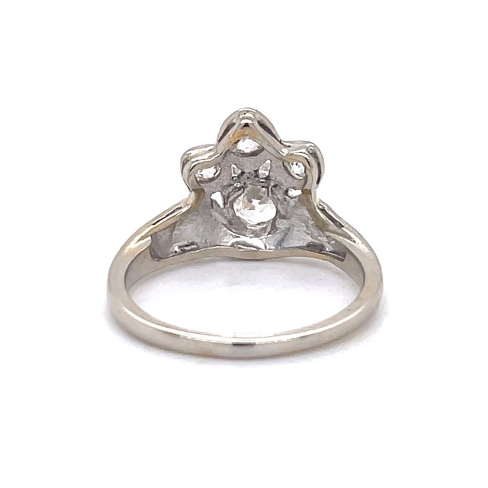 Ring - 14 karat Hvidguld Diamant (Natur)  - Diamant