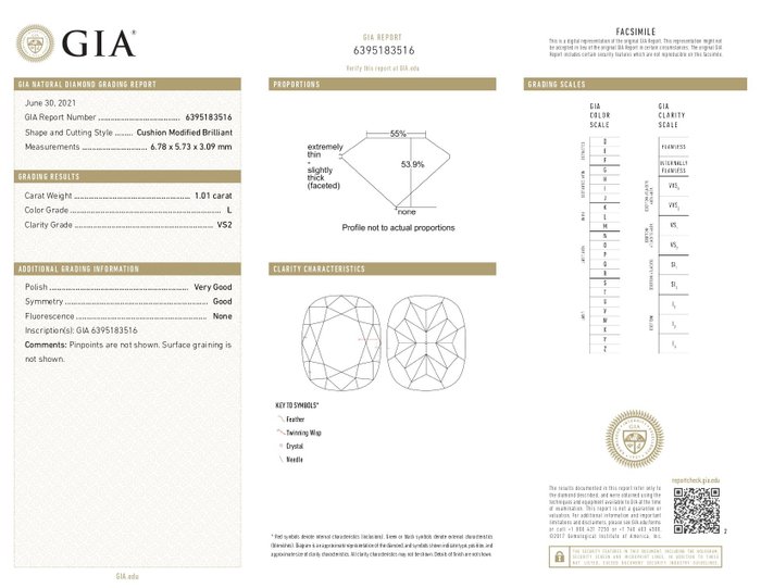 1 pcs Diamant  (Natur)  - 1.01 ct - Pude - L - VS2 - Gemological Institute of America (GIA) - k11