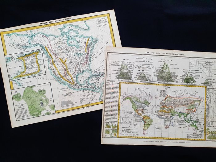 World / Cronologic Map / Height of the Mountains / North America - [LOT of 2] - USA / Nordamerika / Asien / Europa / Afrika; J Meyer - [LOT of 2] - Umrise der Pflanzengeographie / Bergketten in Nord Amerika - 1821-1850