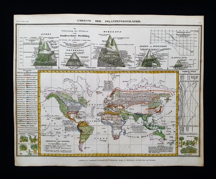 World / Cronologic Map / Height of the Mountains / North America - [LOT of 2] - USA / Nordamerika / Asien / Europa / Afrika; J Meyer - [LOT of 2] - Umrise der Pflanzengeographie / Bergketten in Nord Amerika - 1821-1850