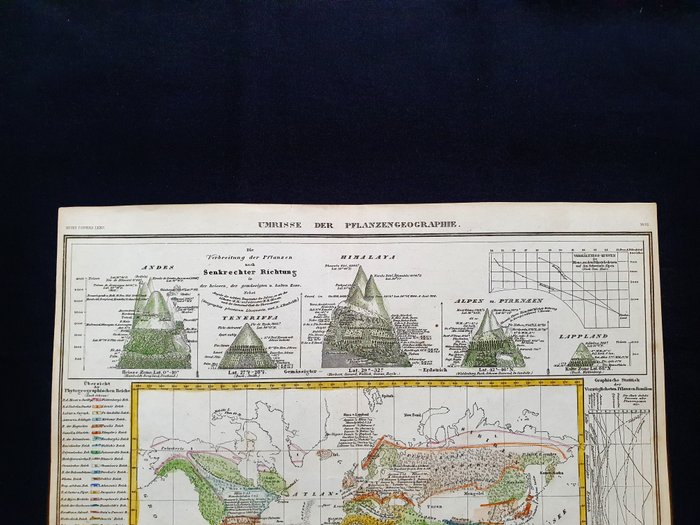 World / Cronologic Map / Height of the Mountains / North America - [LOT of 2] - USA / Nordamerika / Asien / Europa / Afrika; J Meyer - [LOT of 2] - Umrise der Pflanzengeographie / Bergketten in Nord Amerika - 1821-1850