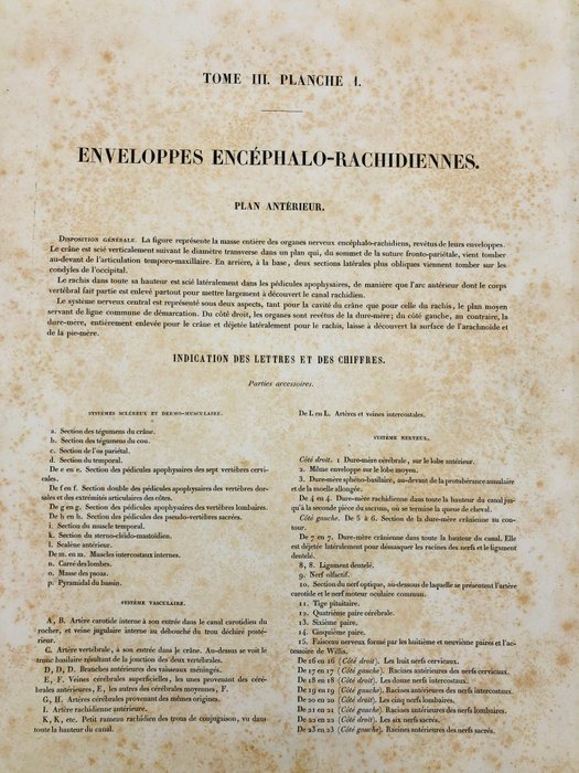 Undervisningsmaterialer - Nicolas-Henri Jacob  Jean Baptiste Marc Bourgery - traité d'anatomie de l'homme 1881 - Papir - 1850-1900 - Tredobbelt gravering