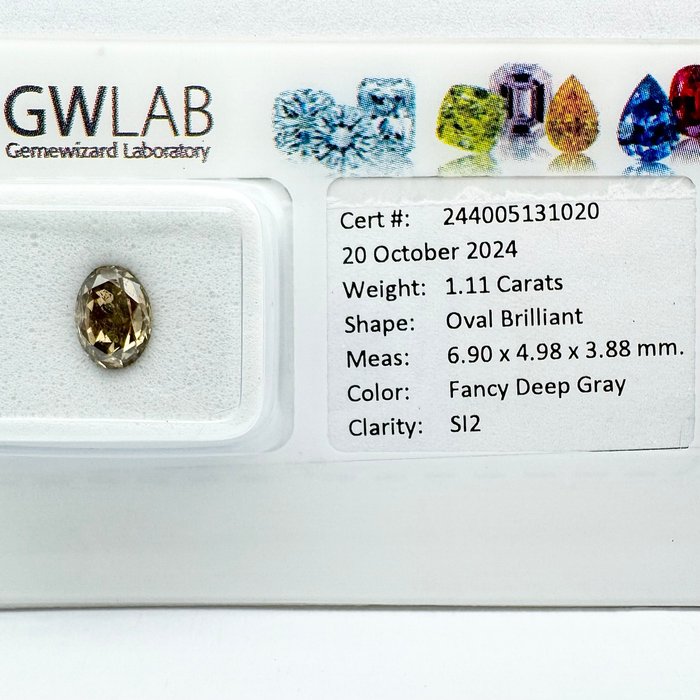 Ingen mindstepris - 1 pcs Diamant  (Naturfarvet)  - 1.11 ct - Oval - Fancy deep Grå - SI2 - Gemewizard Gemological Laboratory (GWLab)