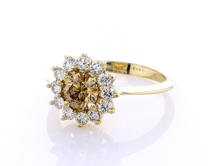 Ring - 14 karat Gulguld -  0.67ct. tw. Diamant (Naturfarvet) - Diamant