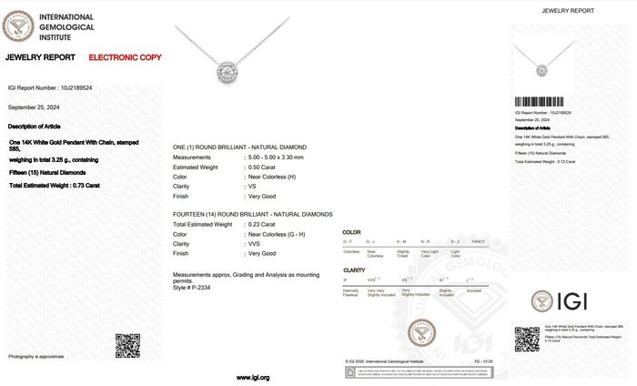 Halskæde med vedhæng - 14 karat Hvidguld -  0.73ct. tw. Diamant (Natur) - Diamant