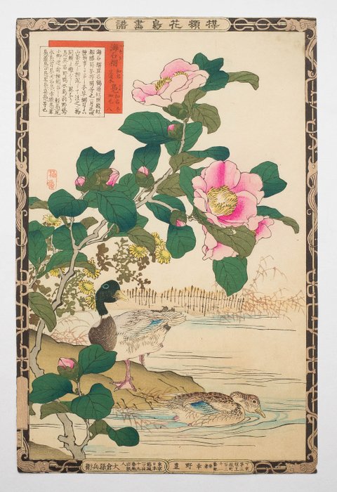 Wilde eenden onder een Camelia uit: "Bairei kachō gafu" (Picture Album of Flowers and Birds by - Kōno Bairei 幸野楳嶺 (1841-1895) - Japan -  Meiji-perioden (1868-1912)