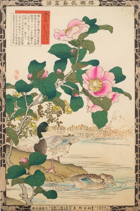 Wilde eenden onder een Camelia uit: "Bairei kachō gafu" (Picture Album of Flowers and Birds by - Kōno Bairei 幸野楳嶺 (1841-1895) - Japan -  Meiji-perioden (1868-1912)