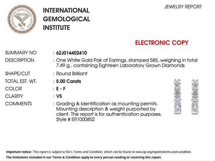 Øreringe - 14 karat Hvidguld -  5.00ct. tw. Diamant (Laboratoriedyrket)