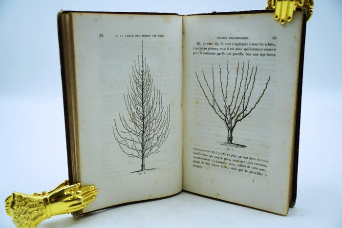 J.-A. Hardy - Traité de taille des arbres fruitiers suivi de la description des greffes - 1858