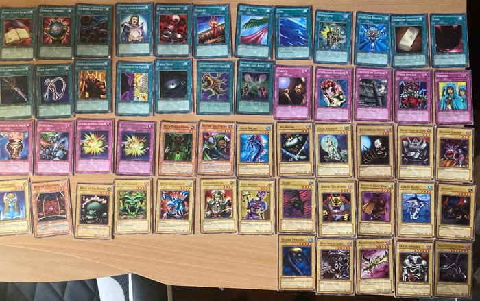 Lot de cartes Yu-Gi-Oh! dont le magnifique Dragon Noir aux yeux rouges (LDD-F056) - 53 Card - 37 cartes du DDY - 1ère édition / 14 cartes de la LDB / 2 cartes du DDK