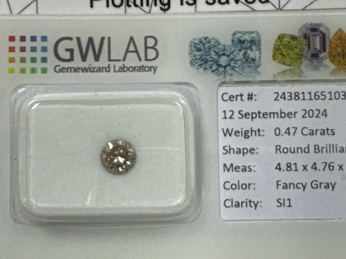 Ingen mindstepris - 1 pcs Diamant  (Naturfarvet)  - 0.47 ct - Rund - Fancy Grå - SI1 - Gemewizard Gemological Laboratory (GWLab)