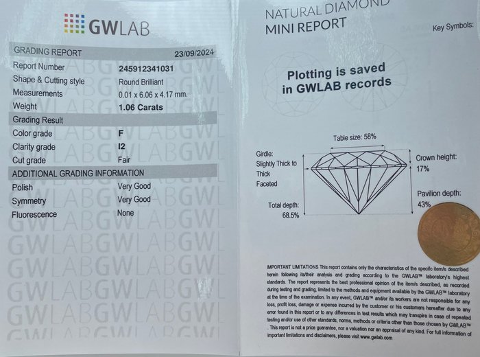 Ingen mindstepris - 1 pcs Diamant  (Natur)  - 1.06 ct - Rund - F - I2 - Gemewizard Gemological Laboratory (GWLab)