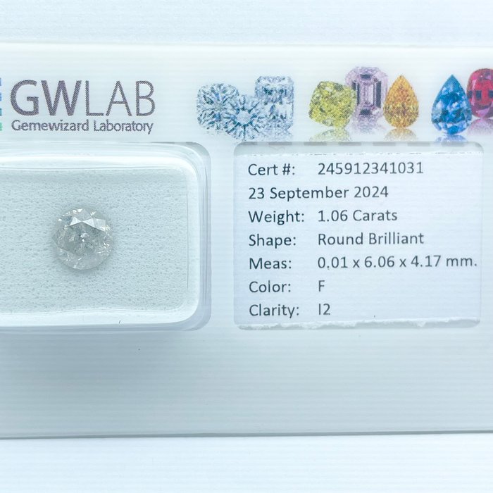 Ingen mindstepris - 1 pcs Diamant  (Natur)  - 1.06 ct - Rund - F - I2 - Gemewizard Gemological Laboratory (GWLab)