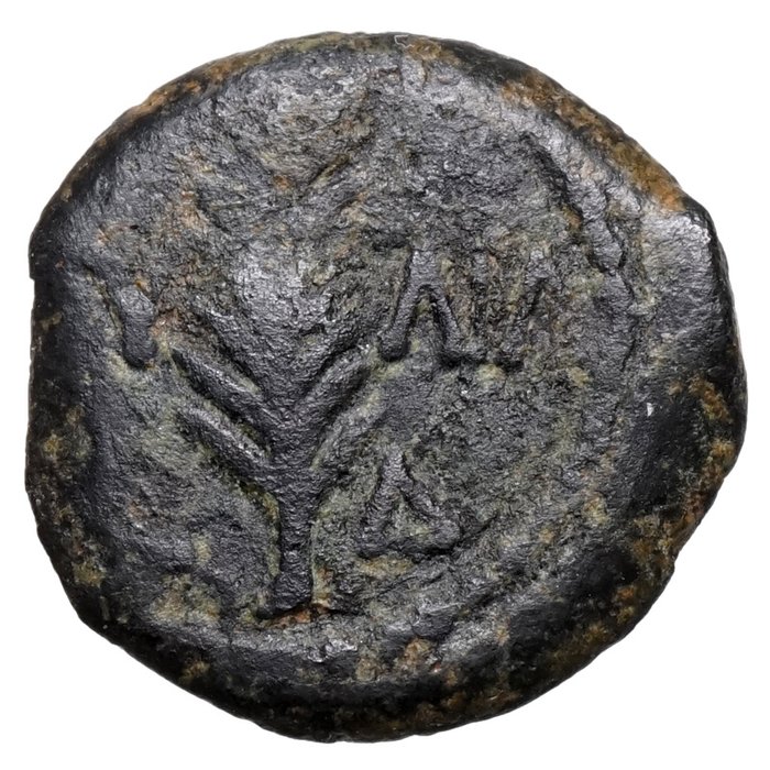 Judaea, Aelia Capitolina (Jerusalem). Porcius Festus (AD 59-62). Prutah Porcius Festus (59-62) Jerusalem, unter Nero, Palmzweig  (Ingen mindstepris)