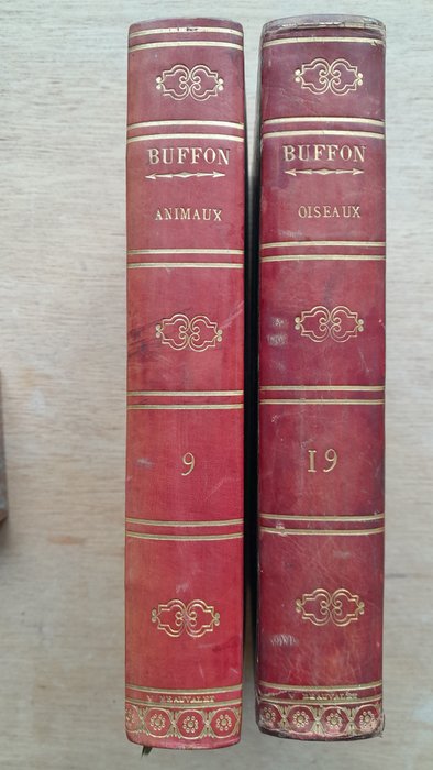 Buffon,Lacépède - Oeuvres complètes. Les animaux / Les oiseaux - 1825