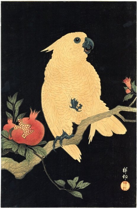 Originalt bloktryk - Papir - Dyr - Ohara Koson (1877-1945) - 'Zakuro ni ōmu' 柘榴に鸚鵡 (Cockatoo on Pomegranate Branch) - Japan - omkring 1930-39