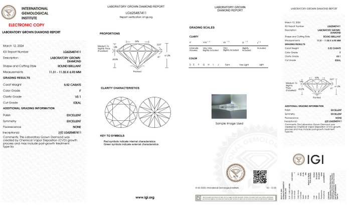 Ingen mindstepris - Øreringe - 18 kraat Hvidguld -  10.94ct. tw. Diamant (Laboratoriedyrket) - F - VS1