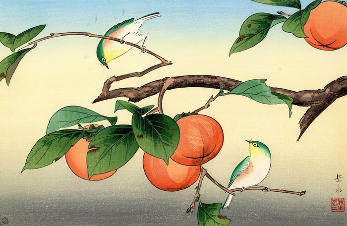 Persimmon and Japanese White Eye - Ide Gakusui 井出岳水 (1899-1982) - Japan