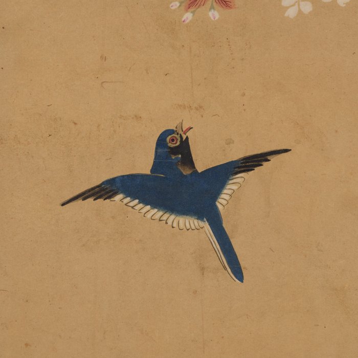 Birds and Cherry Blossoms - Attributed to Kano Naonobu 狩野尚信 (1606–1650) - Japan - Tidlige Edo-periode