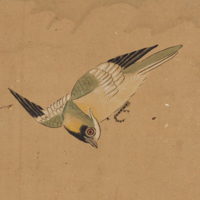 Birds and Cherry Blossoms - Attributed to Kano Naonobu 狩野尚信 (1606–1650) - Japan - Tidlige Edo-periode