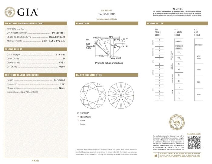 1 pcs Diamant  (Natur)  - 101 ct - Rund - D (farveløs) - VVS2 - Gemological Institute of America (GIA)