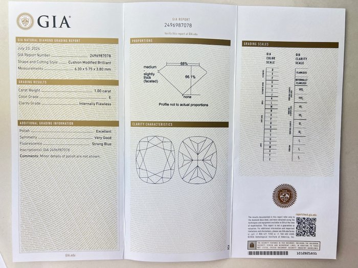 Ingen mindstepris - 1 pcs Diamant  (Natur)  - 100 ct - Pude - E - IF - Gemological Institute of America (GIA)