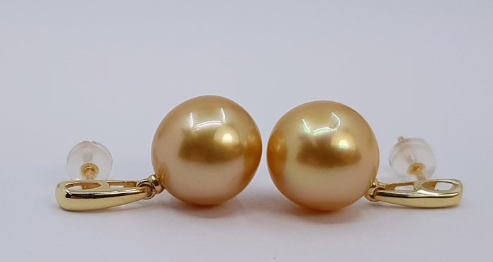 Øreringe - 14 karat Gulguld - 11x12mm South Sea Pearls