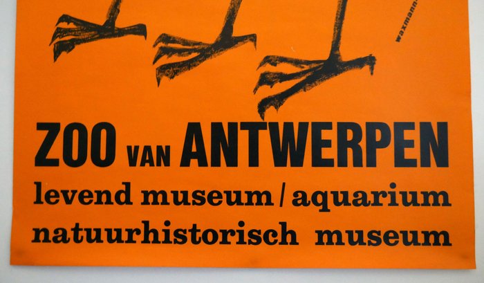 Michel Waxmann-Jeanvy - ZOO Antwerpen - Levend museum, aquarium... - 1970‹erne