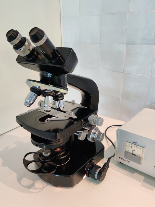 Binocular microscope - M20 phase contrast - 1950-1960 - Schweiz - Wild Heerbrugg