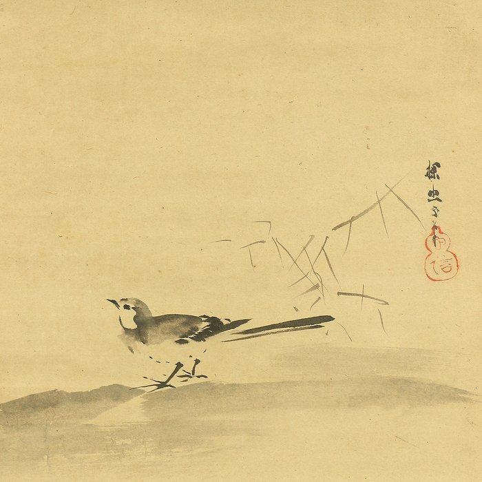 Suiboku Ink Two Wagtail with Box - Attributed to Kano Tan'yū 狩野探幽 (1602-1674) - Japan - Tidlige Edo-periode  (Ingen mindstepris)