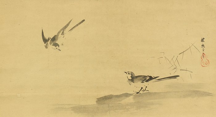 Suiboku Ink Two Wagtail with Box - Attributed to Kano Tan'yū 狩野探幽 (1602-1674) - Japan - Tidlige Edo-periode  (Ingen mindstepris)