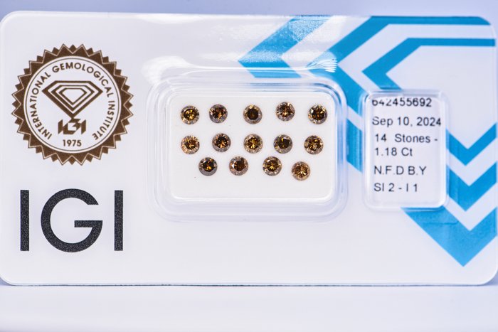 Ingen mindstepris - 14 pcs Diamant  (Naturfarvet)  - 1.18 ct - Rund - Fancy deep Brun Gul - I1, SI2 - International Gemological Institute (IGI)