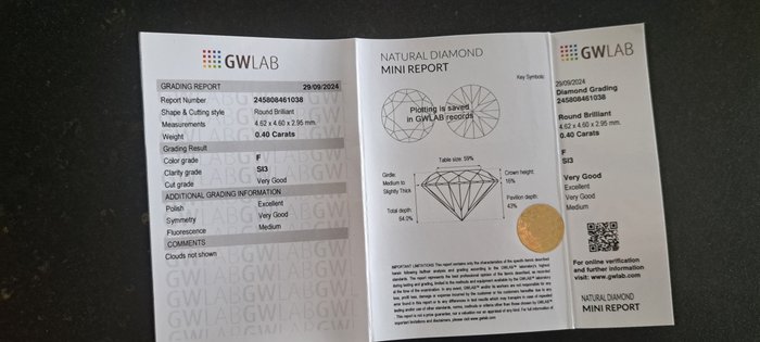 Ingen mindstepris - 1 pcs Diamant  (Natur)  - 0.40 ct - Rund - F - SI3 - Gemewizard Gemological Laboratory (GWLab)