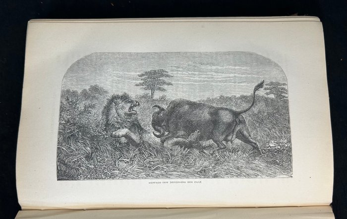 David Livingstone - Missionary Travels and Researches in South Africa - 1858