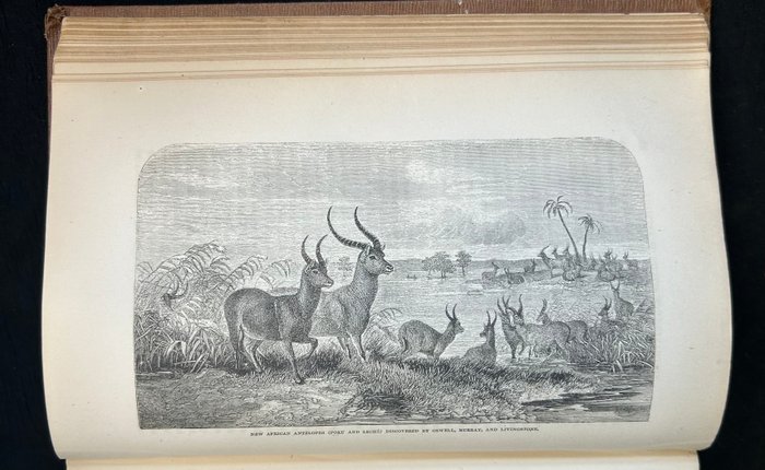 David Livingstone - Missionary Travels and Researches in South Africa - 1858