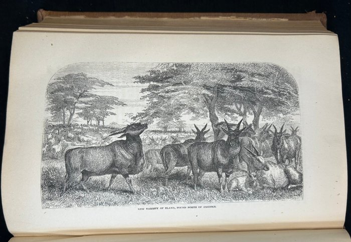 David Livingstone - Missionary Travels and Researches in South Africa - 1858