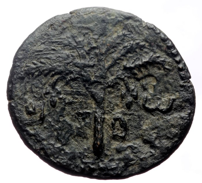 Judea, Romarriket. Bar Kochba revolt. Medium 132-135 AD