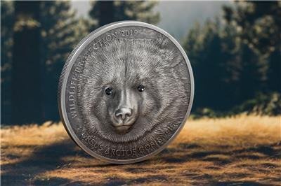 Mongoliet 500 Togrog 2019 Mongolian Gobi Bear - Antique Finish 1 Oz (999)